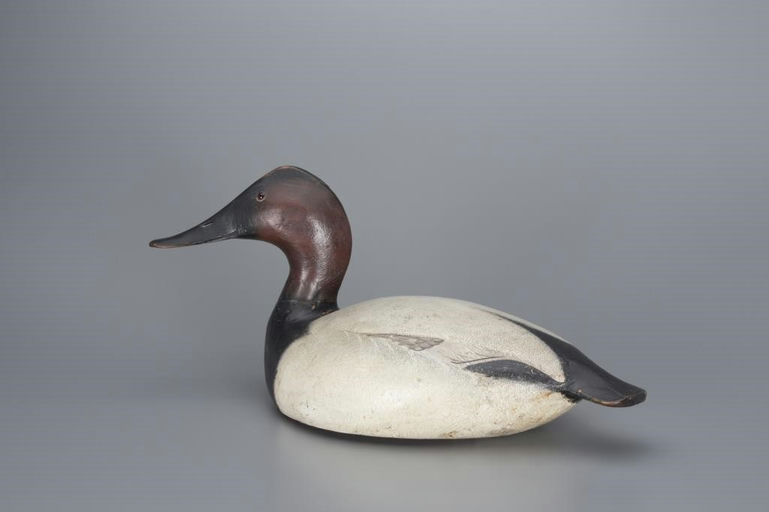Ward Brothers – The McCleery Ward Canvasback Drake – 2017