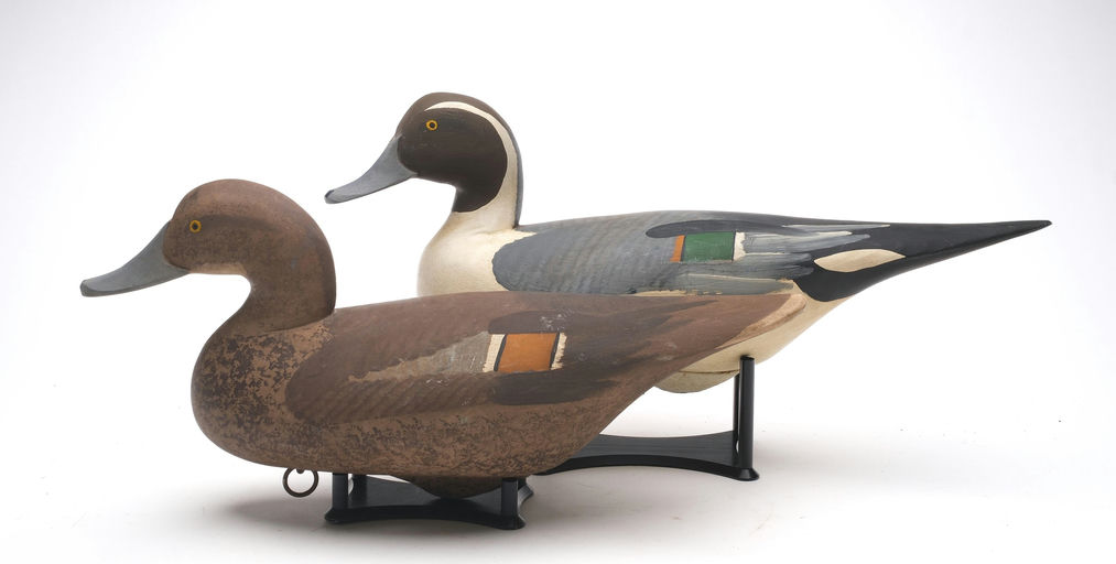 R. Madison Mitchell – Pair of Pintail – 2026