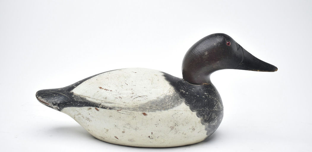 Mason Decoy Factory – Canvasback – 2025