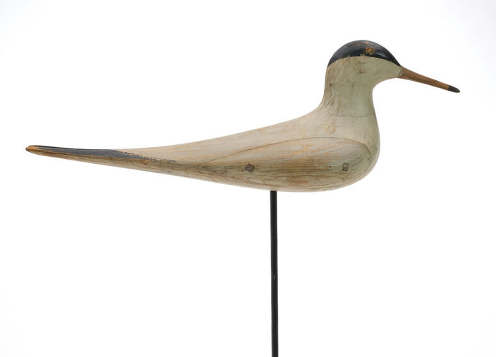 Mark McNair – Tern – 2024