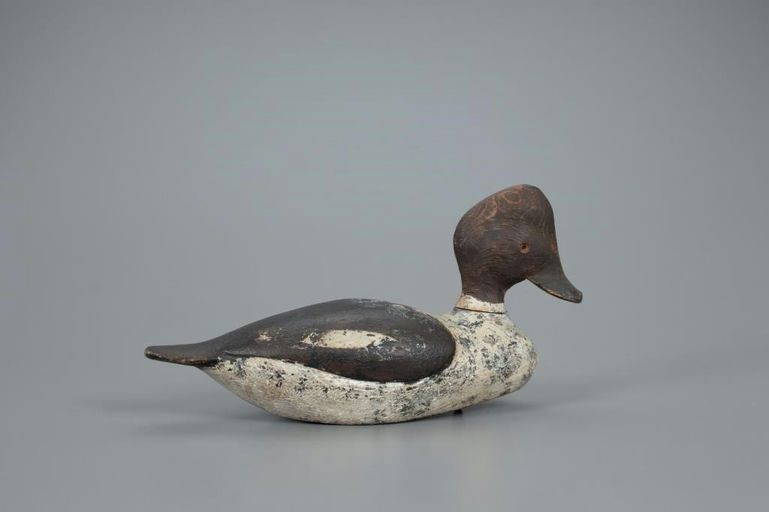 Lorne Smith – High Head Goldeneye Hen – 2020