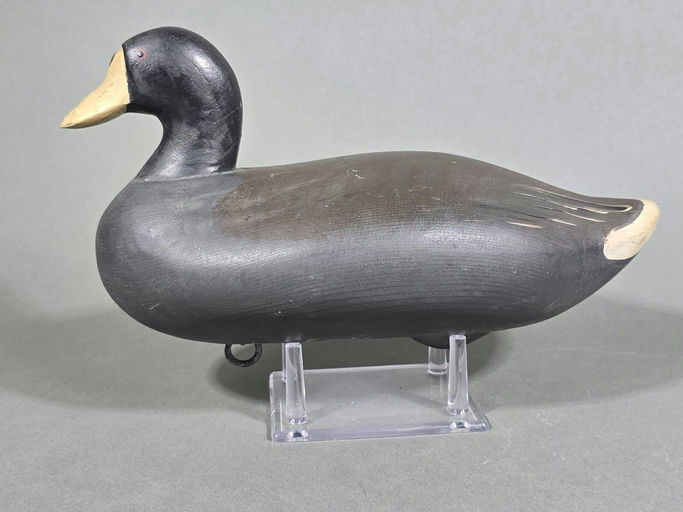 R. Madison Mitchell – Coot – 2026