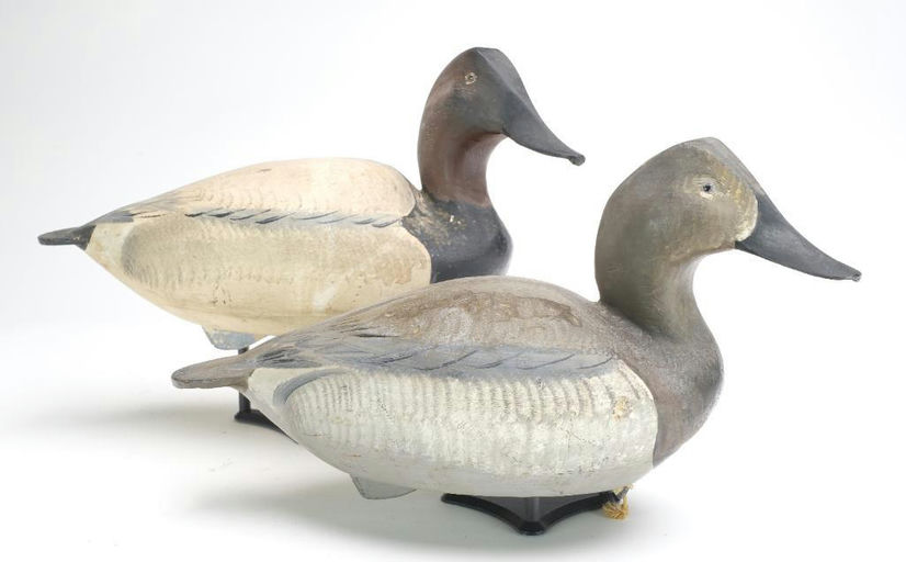 Ward Brothers – Pair of canvasbacks – 2023