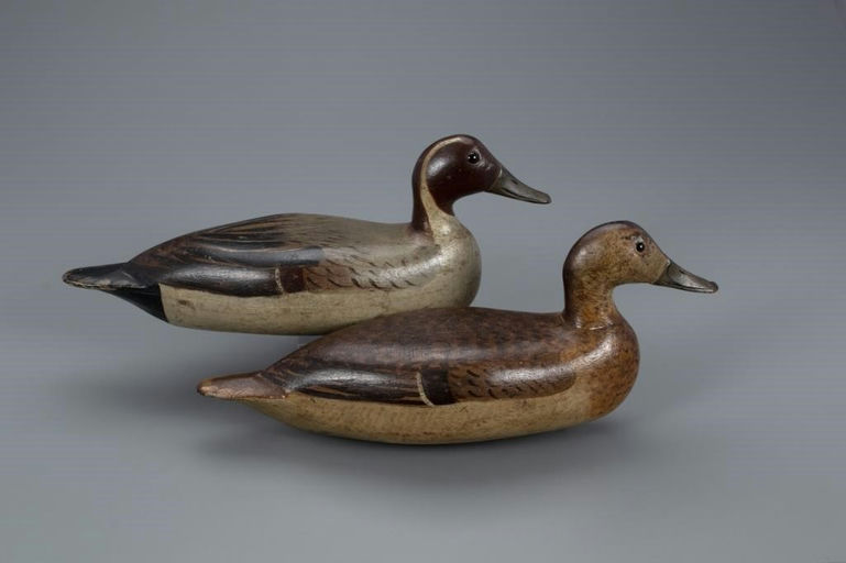 Bert Graves – Pintail Pair – 2020