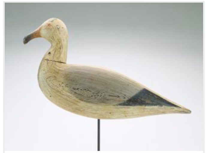 Marty Hanson – Seagull