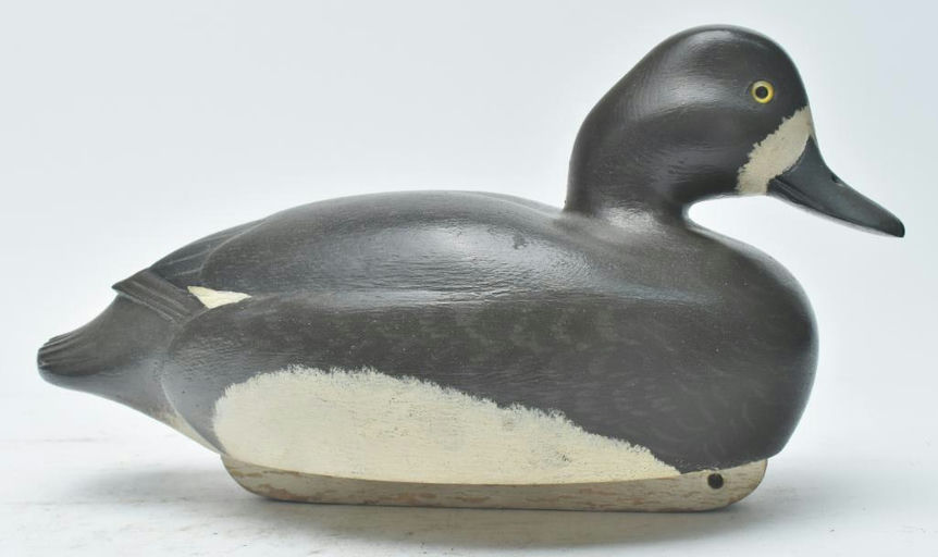 John McLoughlin – Scaup – 2023