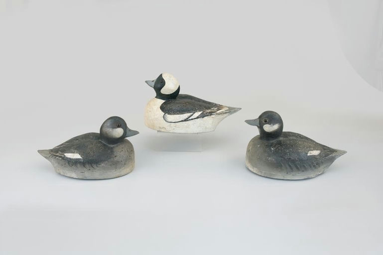Winsor White – Bufflehead Trio – 2026