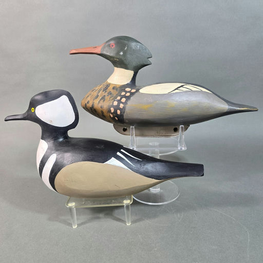 David Rhodes – Merganser – 2026