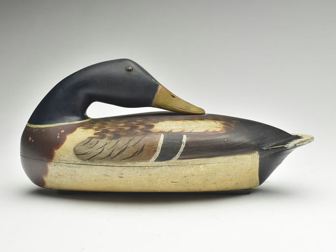 Bert Graves – Mallard – 2023