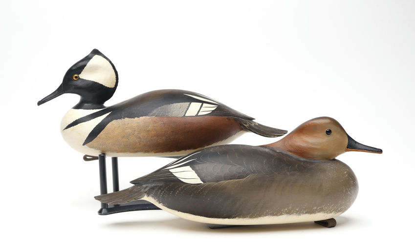 Bob White – Pair of Hooded Merganser – 2026