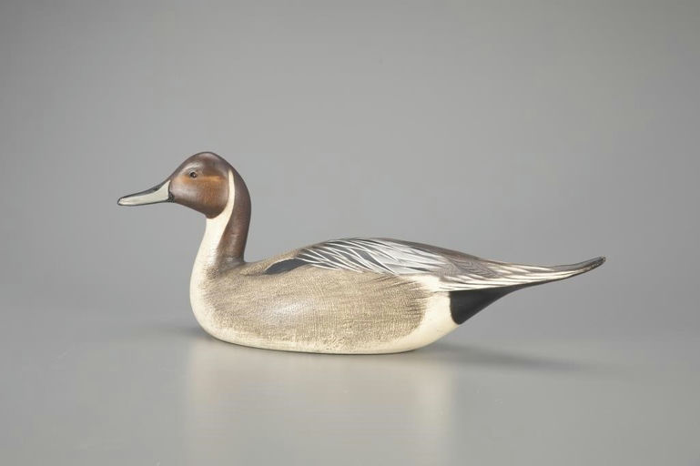 Jim Schmiedlin – Pintail Drake – 2024