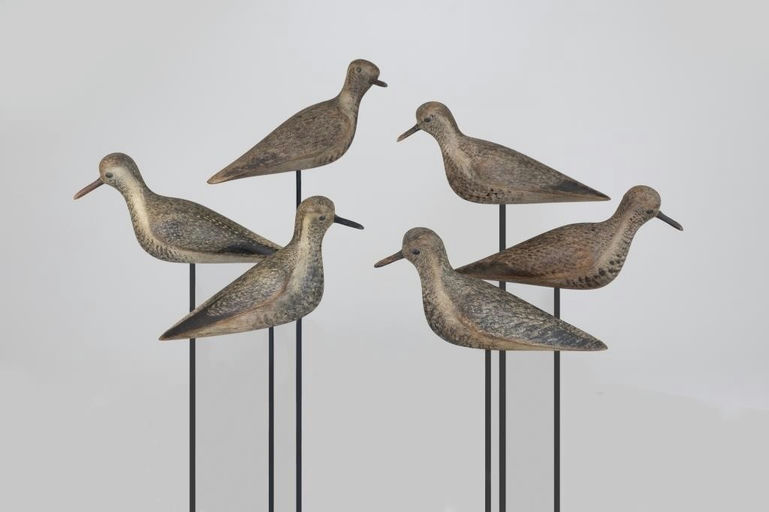 Mark McNair – Parker's Island Plover Rig – 2026
