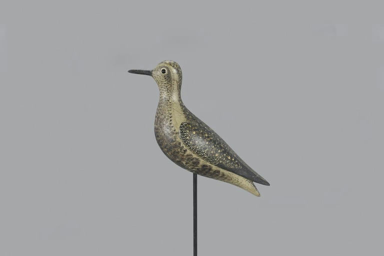 Mark McNair – Dovetailed Golden Plover – 2023