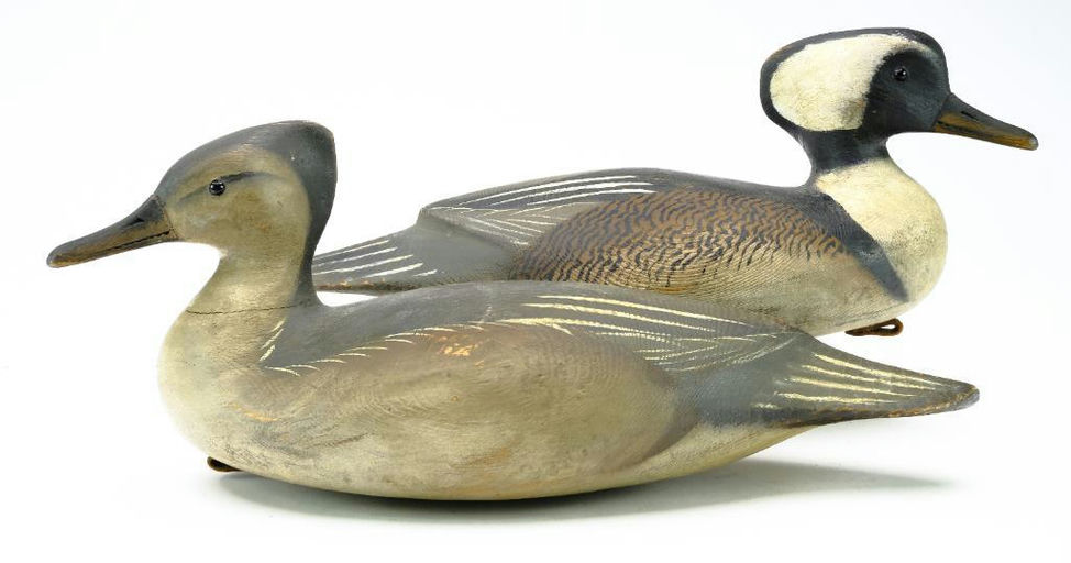 Reggie Birch – Hooded merganser – 2024