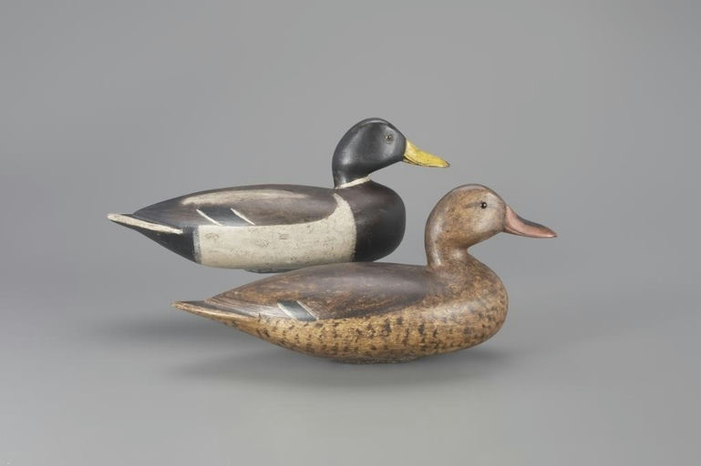 Glenn Cameron – Mallard Pair – 2024