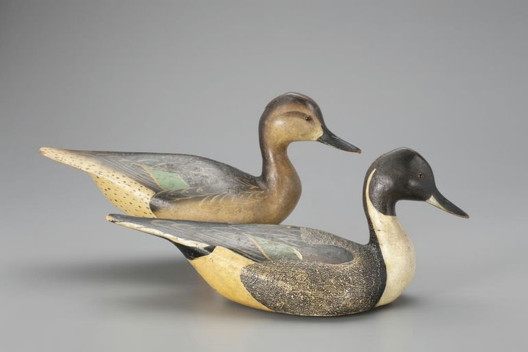 Ward Brothers – Pinch-Breast Pintail Pair – 2018