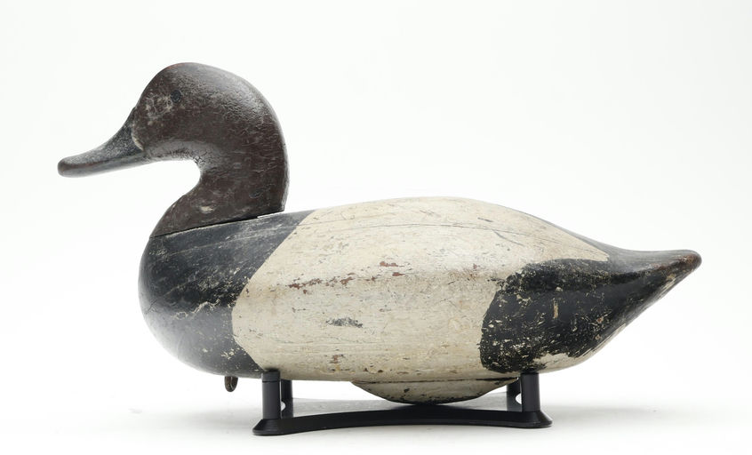 R. Madison Mitchell – Canvasback – 2026
