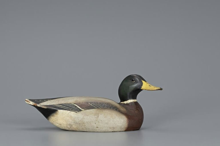 Ward Brothers – Mallard Drake – 2019
