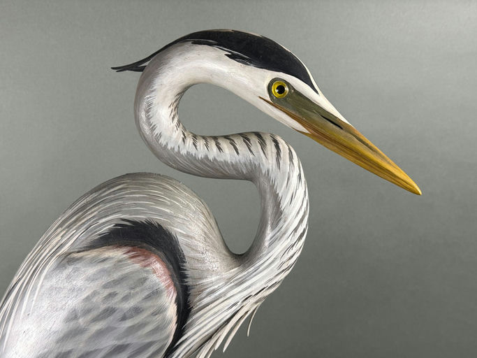 Eddie Wozny — Great Blue Heron