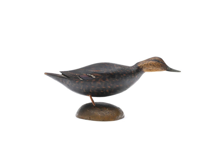 Elmer Crowell – Miniature Black Duck – 2025