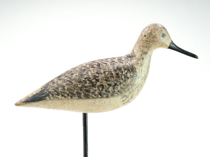 Harry V. Shourds – Yellowlegs – 2025