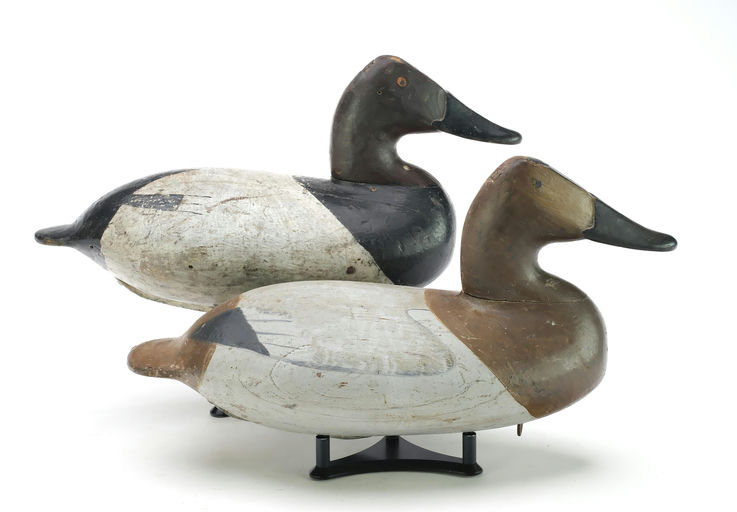 William Heverin – Pair of Canvasback – 2025