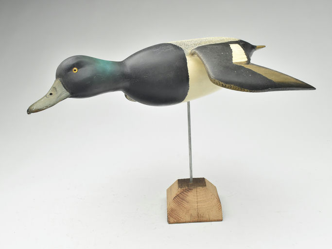 Corb Reed – Scaup – 2023
