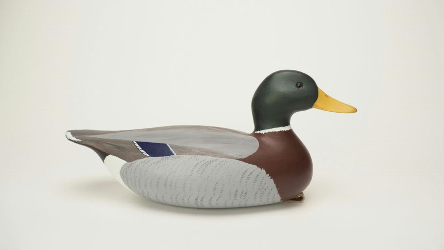 Fred Reitmeyer — Mallard Drake