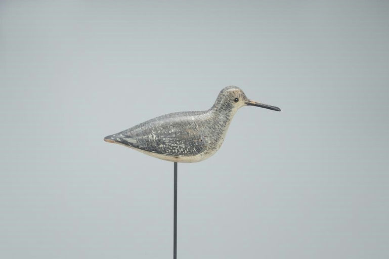 John Dilley – Dowitcher In Winter Plumage – 2022