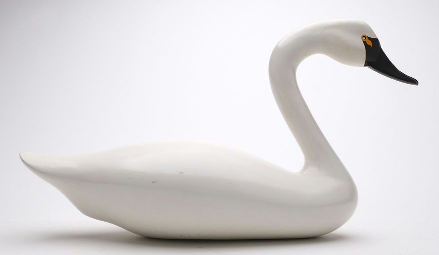 R. Madison Mitchell – Swan – 2024