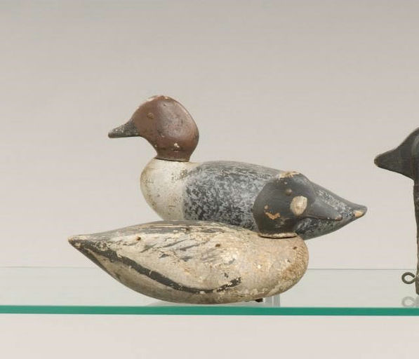 Elisha Burr – Goldeneye Pair – 2009