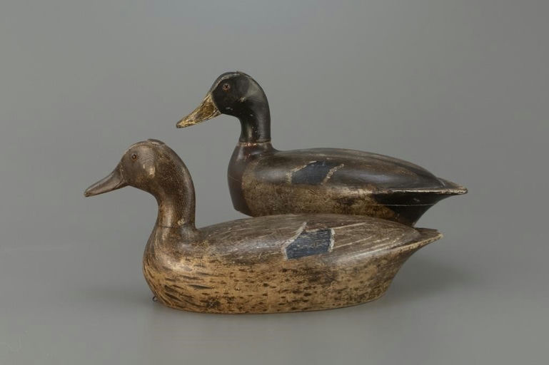 Charles Walker – Mallard Pair – 2025