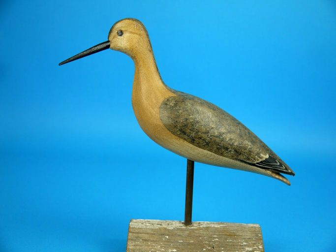Harry V. Shourds – Yellowlegs – 2026