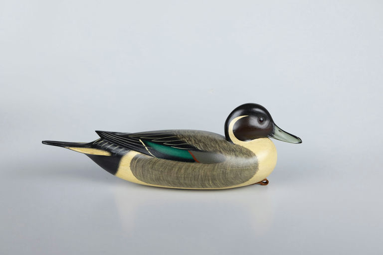 Rick Brown – Pintail – 2026