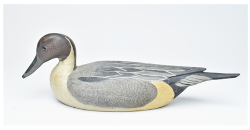 Grayson Chesser – Pintail – 2022
