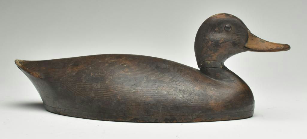 John R. Wells – Mallard Hen – 2023