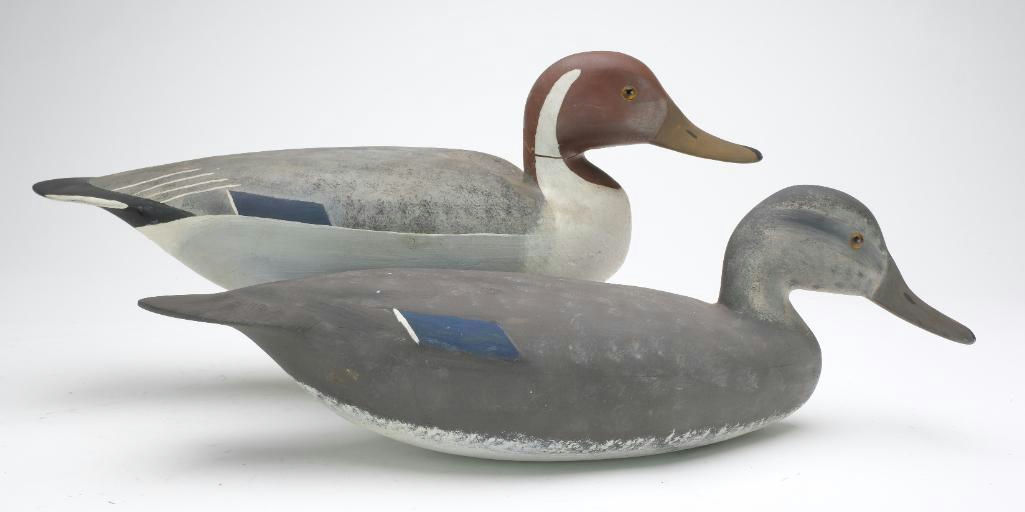 Hurley Conklin – Pair of Pintail – 2023
