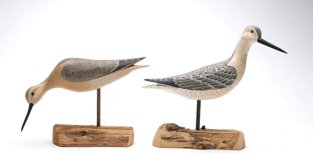 Harry V. Shourds – Yellowlegs – 2025
