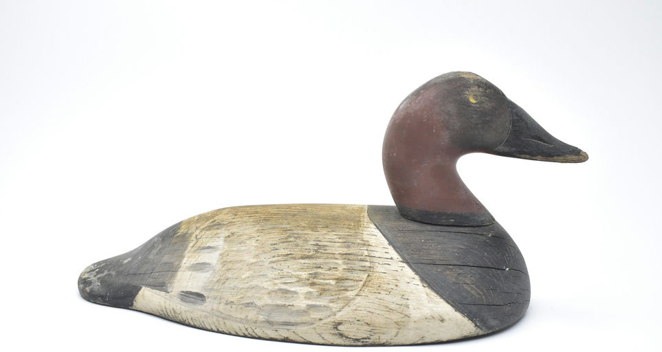 Henry Lockard – Canvasback – 2025