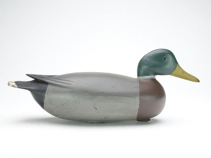 Jess Heisler – Mallard – 2023
