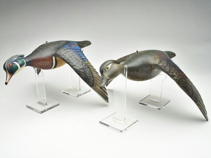Mike Borrett – Wood Duck – 2023