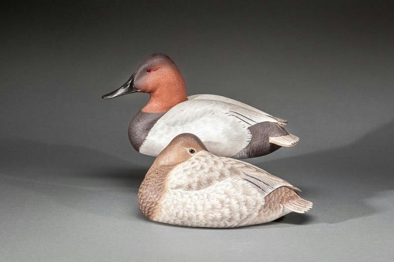 Randy Tull – Canvasback Pair – 2015