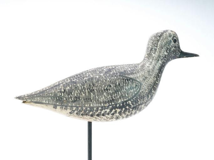 George Boyd – Black Bellied Plover – 2025