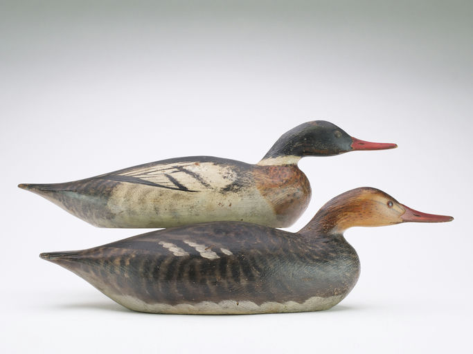 Elmer Crowell – Pair of Merganser – 2025
