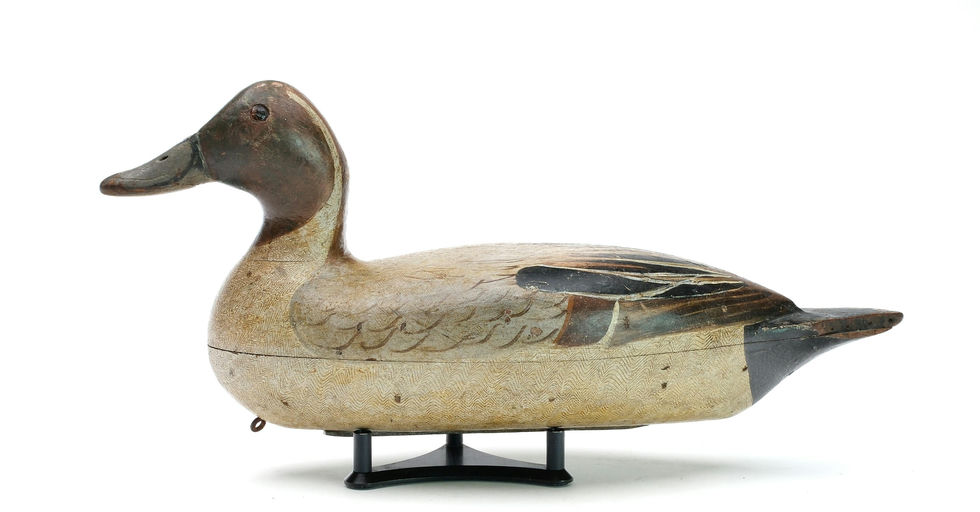 Bert Graves – Pintail – 2025