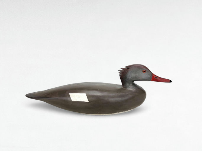 Hurley Conklin – Merganser Hen – 2024
