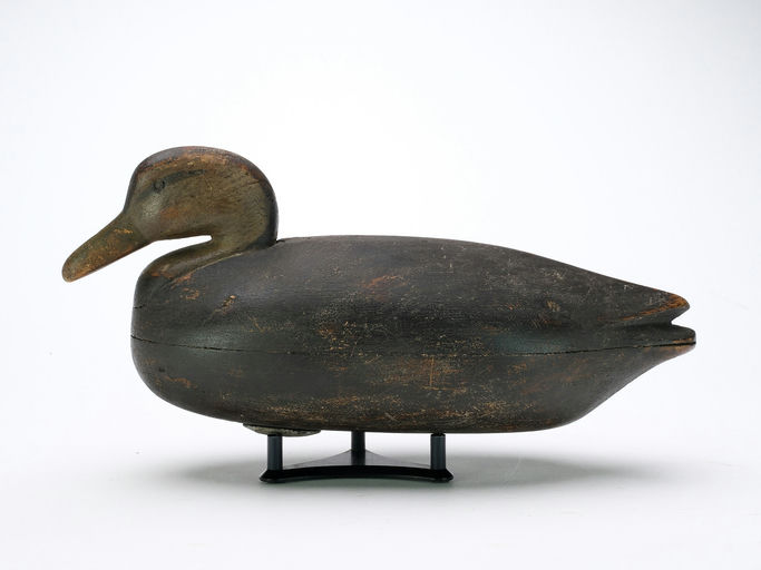 Nathan Cobb, Jr. – Black duck – 2025