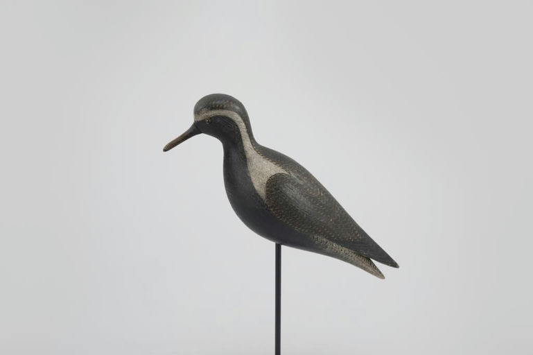 Mark McNair – Hollow Golden Plover – 2026