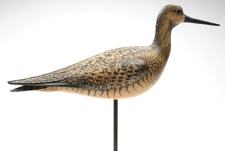 Bill Gibian – Yellowlegs – 2026