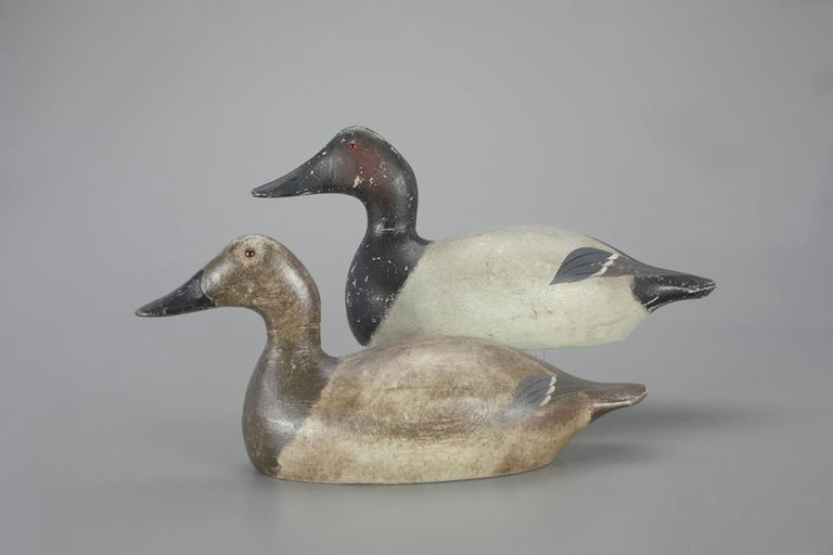 Evans Decoy Company – Mammoth-Grade Canvasback Pair – 2023
